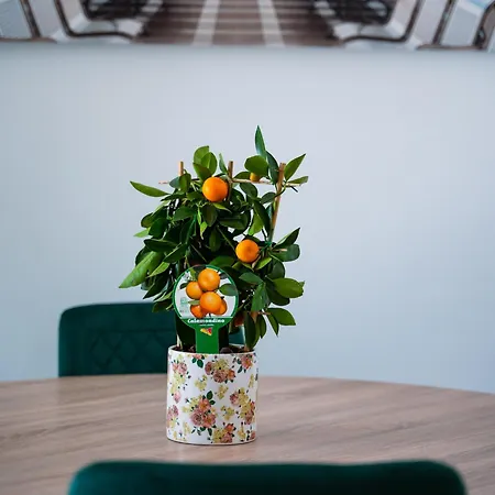 Terminal Sud Alojamento de Acomodação e Pequeno-almoço Bari